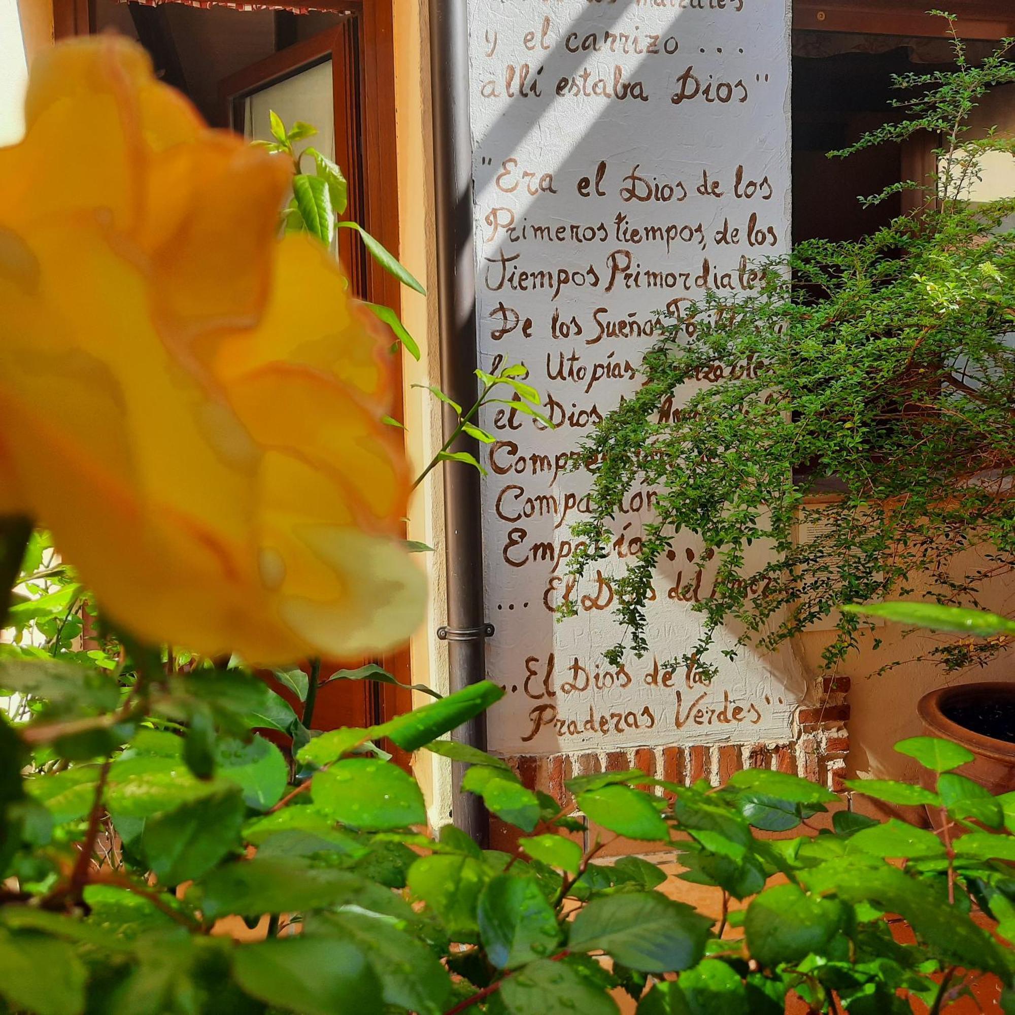 Beautiful Alamedas - Una Casa Rural Con Una Historia Unica Кастронунио Экстерьер фото