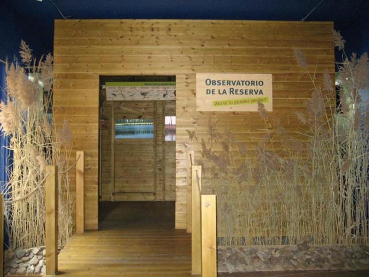 Beautiful Alamedas - Una Casa Rural Con Una Historia Unica Кастронунио Экстерьер фото